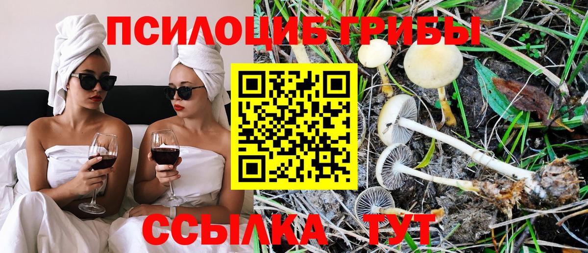 Галлюциногенные грибы MAGIC MUSHROOMS Симферополь