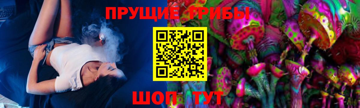 сколько стоит  Вход с VPN  Симферополь  Псилоцибиновые грибы мицелий  Псилоцибиновые грибы Psilocybe 